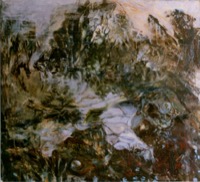 Verwachsene Landschaft - den Fluß hinabretiben lassen