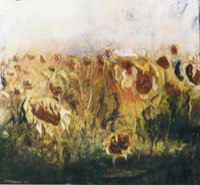 Sonnenblumenfeld