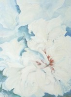 Weiße Amaryllis