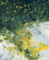 Helmholzstraßenblumen