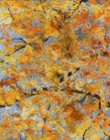 Herbstblätter zum Himmel hin