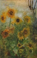 Sonnenblumen